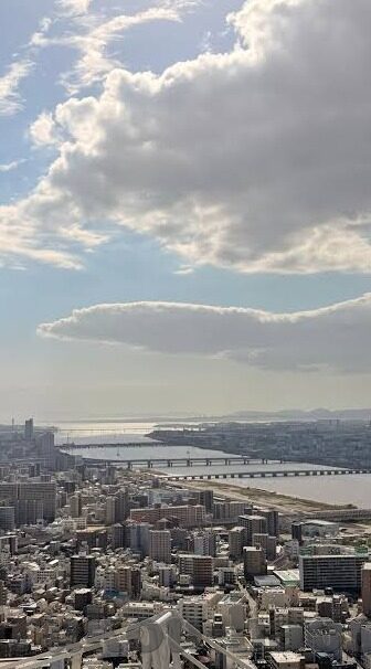 91麻豆国产语对白在线观看-91麻豆，国产语对白在线观影的深度体验与感想