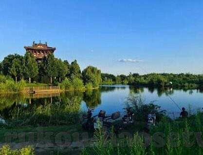 成人区人妻精品一区二区不卡视频-成人区人妻精品一区二区不卡视频，探索成人娱乐的边界与伦理考量