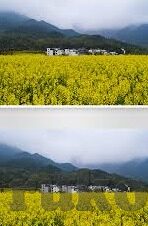 国产91精品人妻互换麻豆-国产91精品与女性角色互换艺术的独特视角