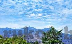 麻豆av手机在线-麻豆AV，手机观影的多元体验探索