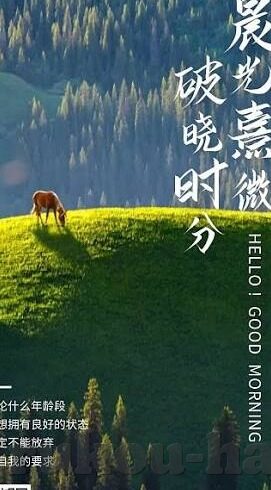 vlogcom糖心官网,404-探秘消失的Vlogcom糖心官网，404背后的故事