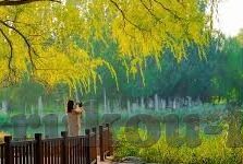 vlog糖心兑换码-解锁Vloger甜蜜小确幸，探寻糖心兑换码的奇妙之旅